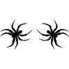 spinne02
