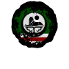 Chechnya flag of chechen