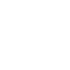 Brudi