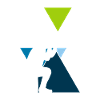 taking photos
