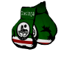 Chechnya Boxing Glove Chechen Fighter