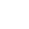 Finnischer Lapphund