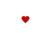 photographer