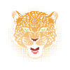 Cheetah Leopard