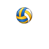 Volleyball Voleyball Volleybal