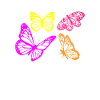 Butterflies Schmetterlinge