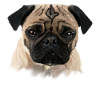 mops