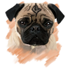 mops