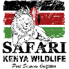 Lion - Safari Kenya Wildlife