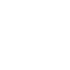 Ingenieur