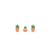 Gärtner aus Leidenschaft!