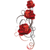 Le rose rosse con le spine amano il romanticismo