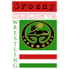 Grozny Chechnya Wrestling Flag