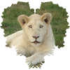 Löwe