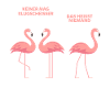 Flamingo funny shirt