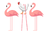 Flamingo chicken funny gift idea