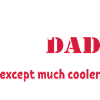 Drone volant papa
