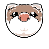 Frettchen