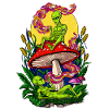 Aliens Magic Mushrooms Psychedelic Shrooms