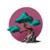 BONSAI
