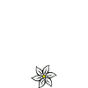 Obazda
