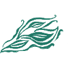 Green Leaves