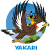 Yakari Vole Sur Grand-Aigle
