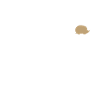 Hedgehog evolution