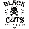 Black cat