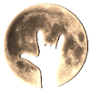 Rock Moon, Hand, Party, Music, Earth Day, Yeah