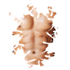 Six-pack