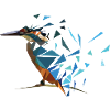 kingfisher