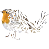 robin