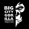 Big city gorilla