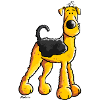 Sweet Airedale Terrier