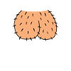 scrotum