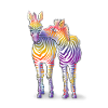 Zebra Love // art.implied