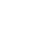 Insect