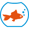 Goldfish