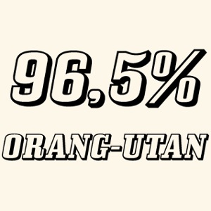 96,5% ORANG-UTAN