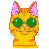 Cat Summer Yellow