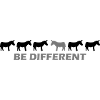 be different donkey
