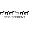 be different horse