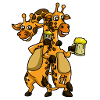 Giraffe drink beer