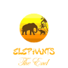 Éléphant fille