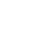 Mechanic