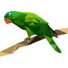 parrot