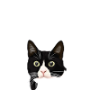 Hestekat katte og hest elskere gave