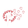 Pig dandelion