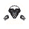Honey badger predator